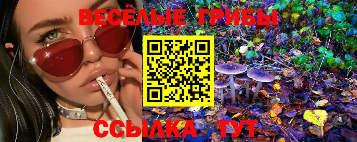 Галлюциногенные грибы Cubensis  что такое наркотик  Белебей  Вход с VPN  Псилоцибиновые грибы прущие грибы 